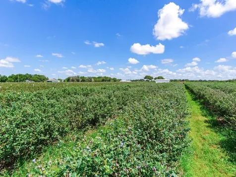 3674 E State Road 64 Zolfo Springs FL 33890