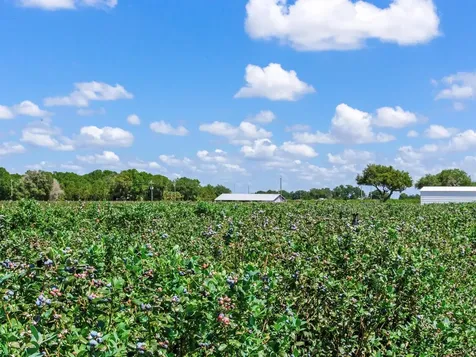 3674 E State Road 64 Zolfo Springs FL 33890