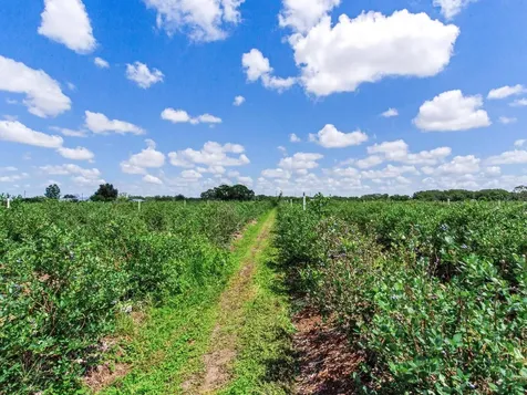 3674 E State Road 64 Zolfo Springs FL 33890