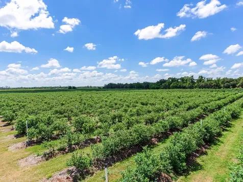 3674 E State Road 64 Zolfo Springs FL 33890