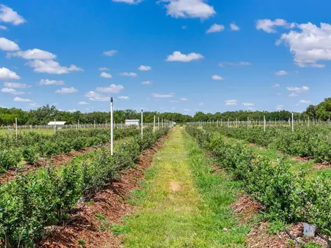 3674 E State Road 64 Zolfo Springs FL 33890