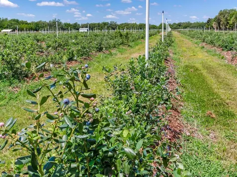 3674 E State Road 64 Zolfo Springs FL 33890
