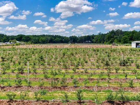 3674 E State Road 64 Zolfo Springs FL 33890