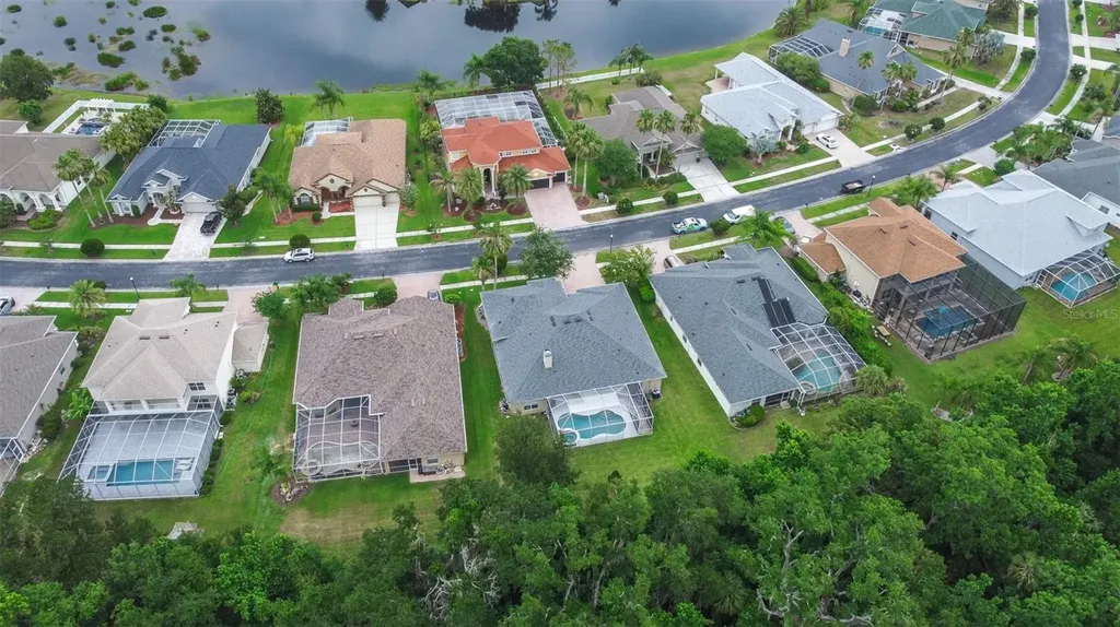 26754 Winged Elm Drive Wesley Chapel FL 33544