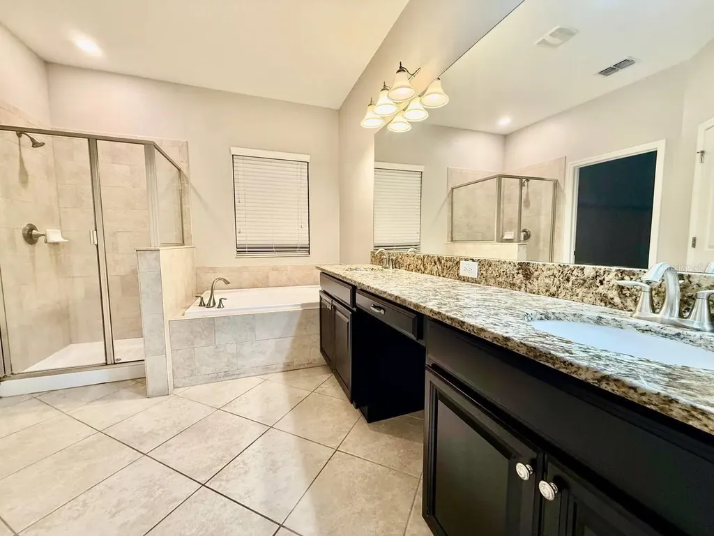 12311 Ballentrae Forest Drive Riverview FL 33579