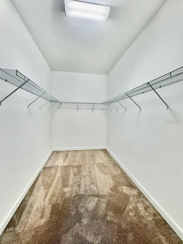 12311 Ballentrae Forest Drive Riverview FL 33579