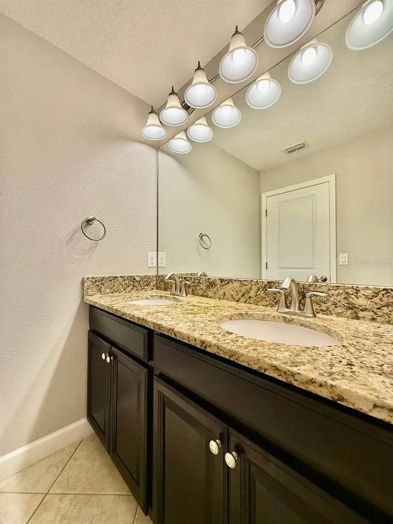 12311 Ballentrae Forest Drive Riverview FL 33579