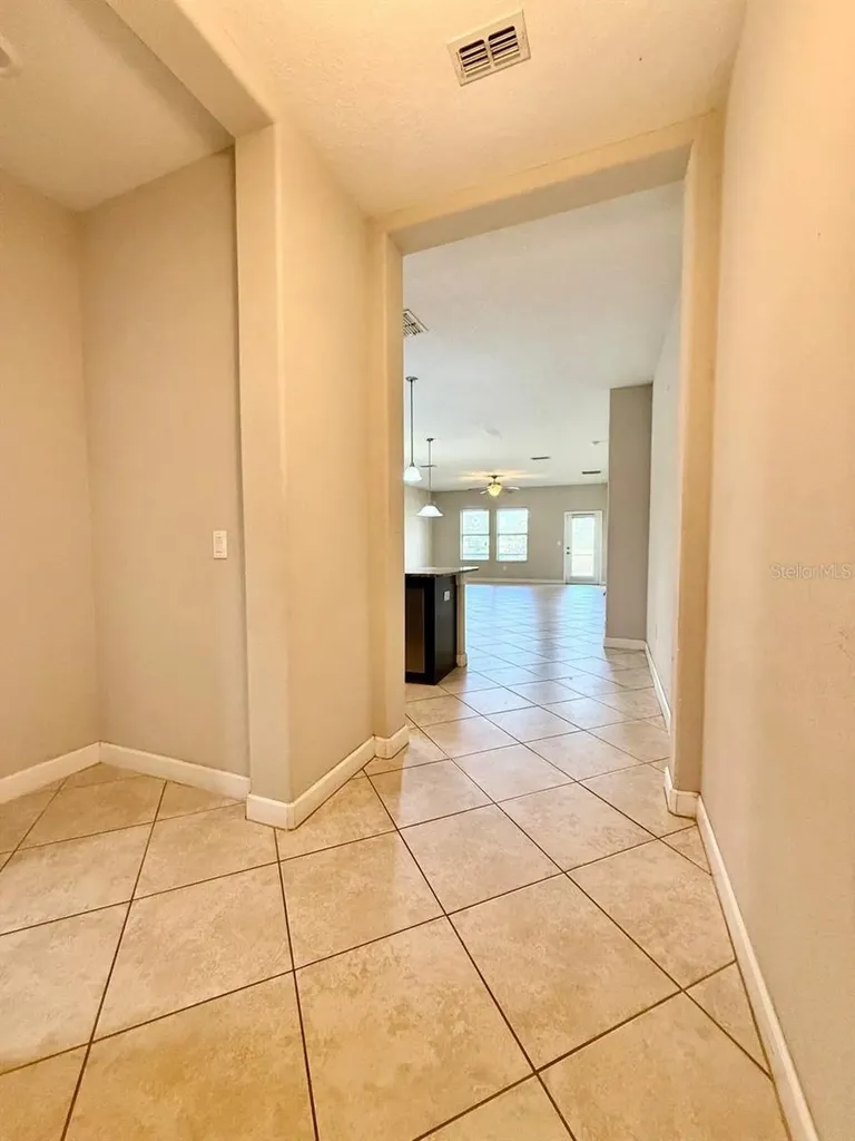 12311 Ballentrae Forest Drive Riverview FL 33579