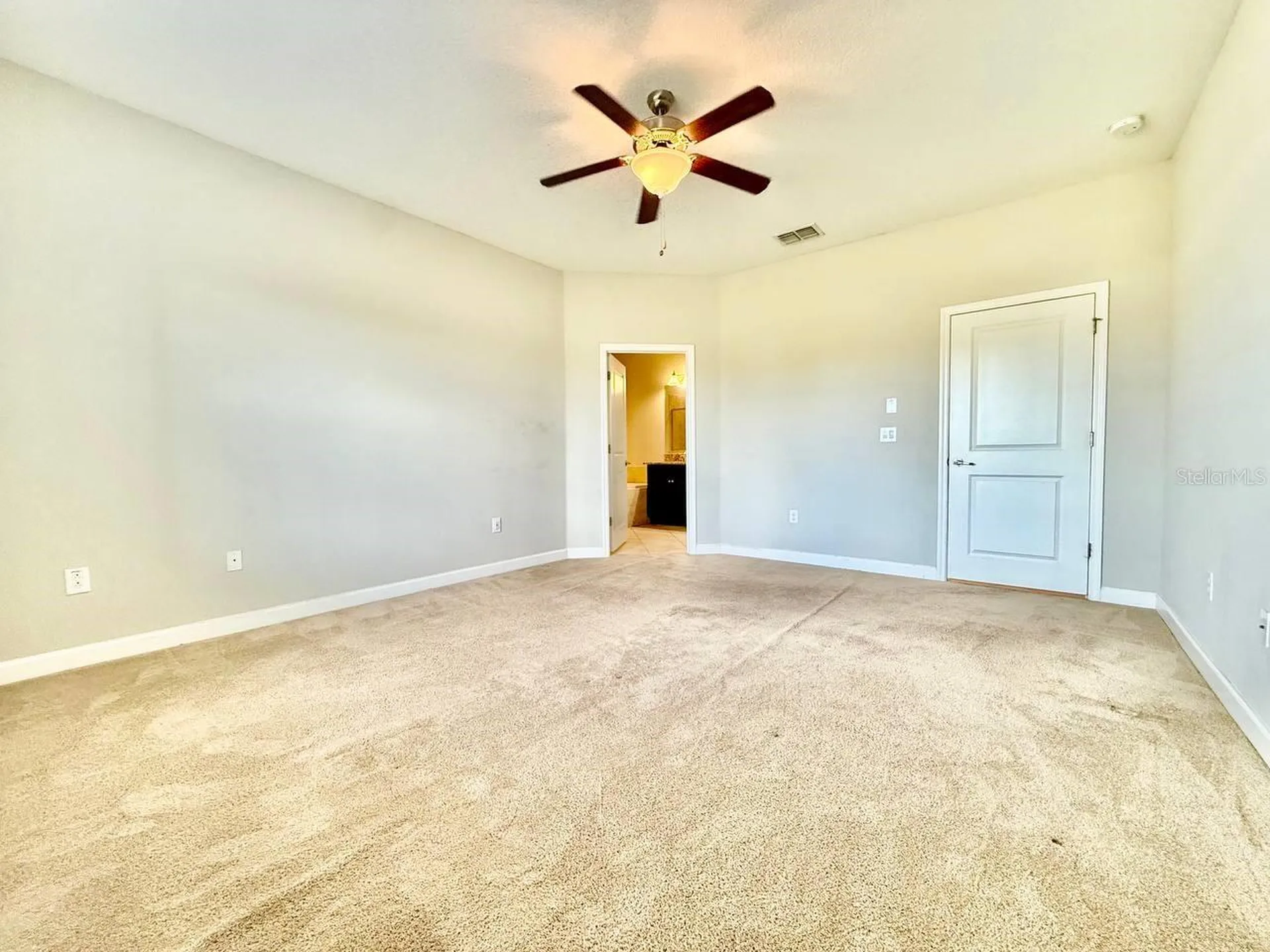 12311 Ballentrae Forest Drive Riverview FL 33579