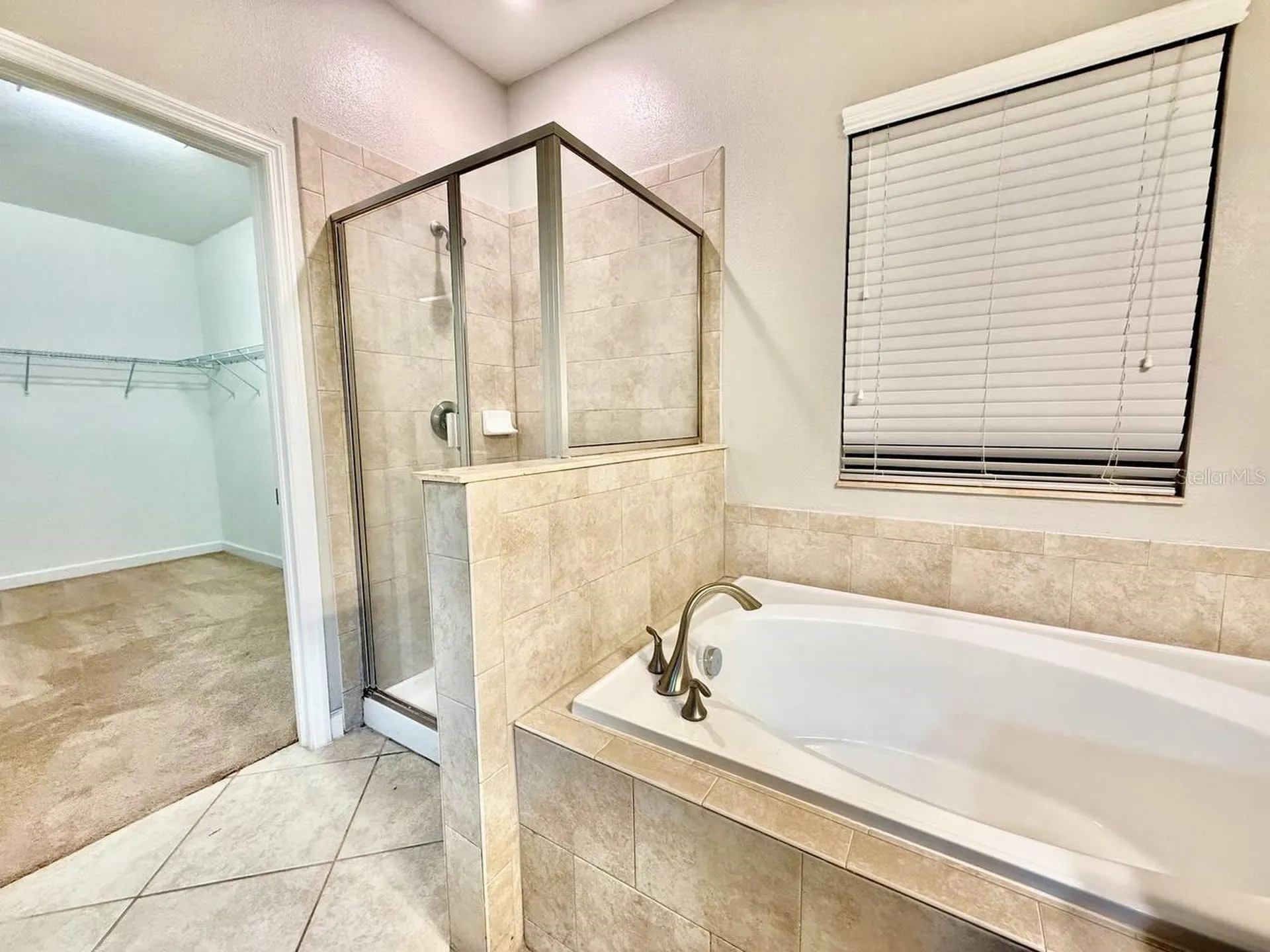 12311 Ballentrae Forest Drive Riverview FL 33579