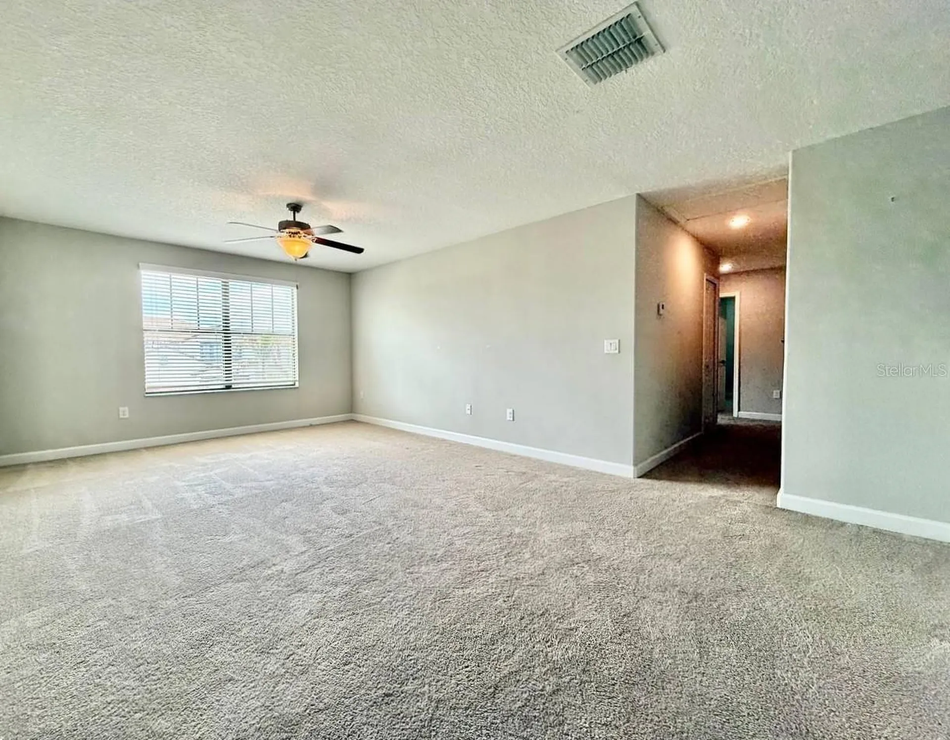 12311 Ballentrae Forest Drive Riverview FL 33579