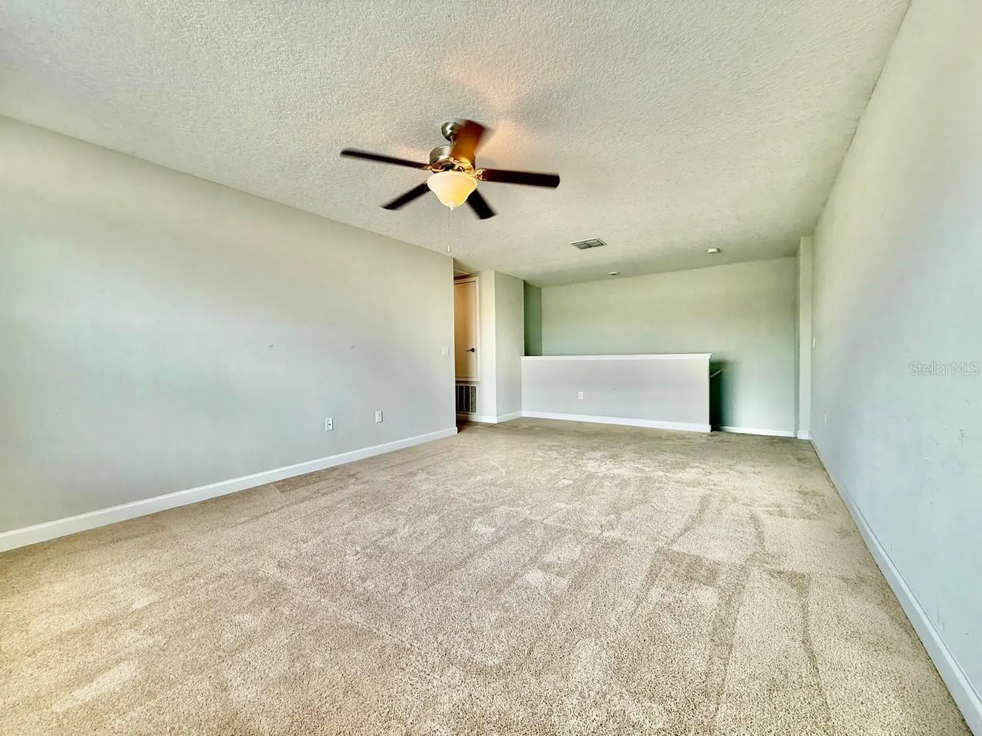 12311 Ballentrae Forest Drive Riverview FL 33579