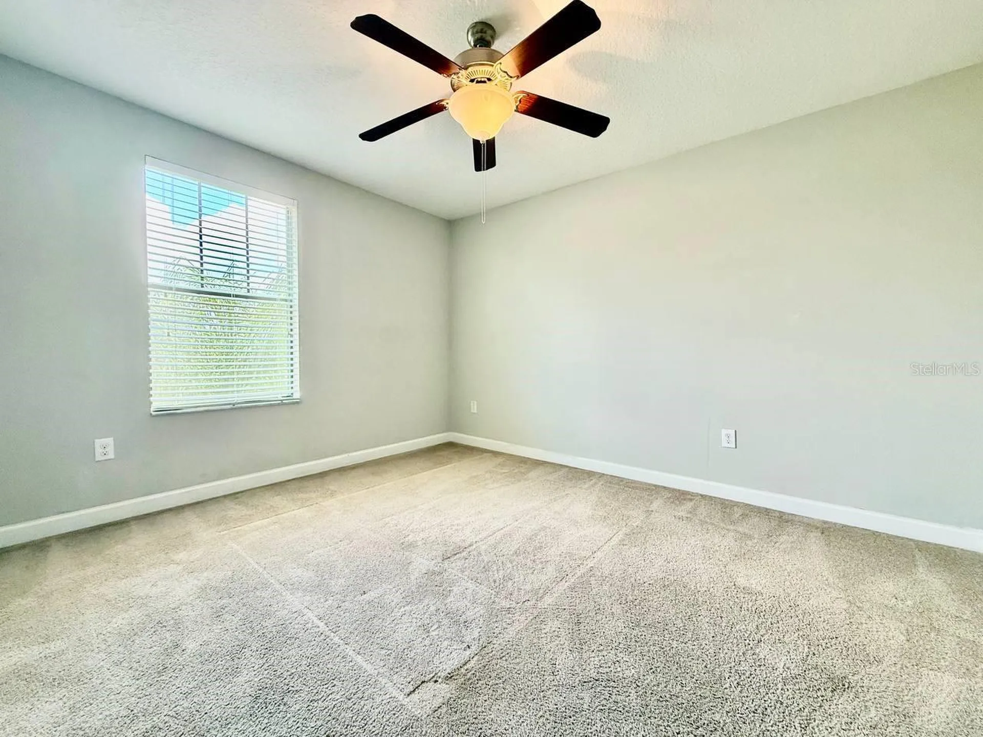 12311 Ballentrae Forest Drive Riverview FL 33579