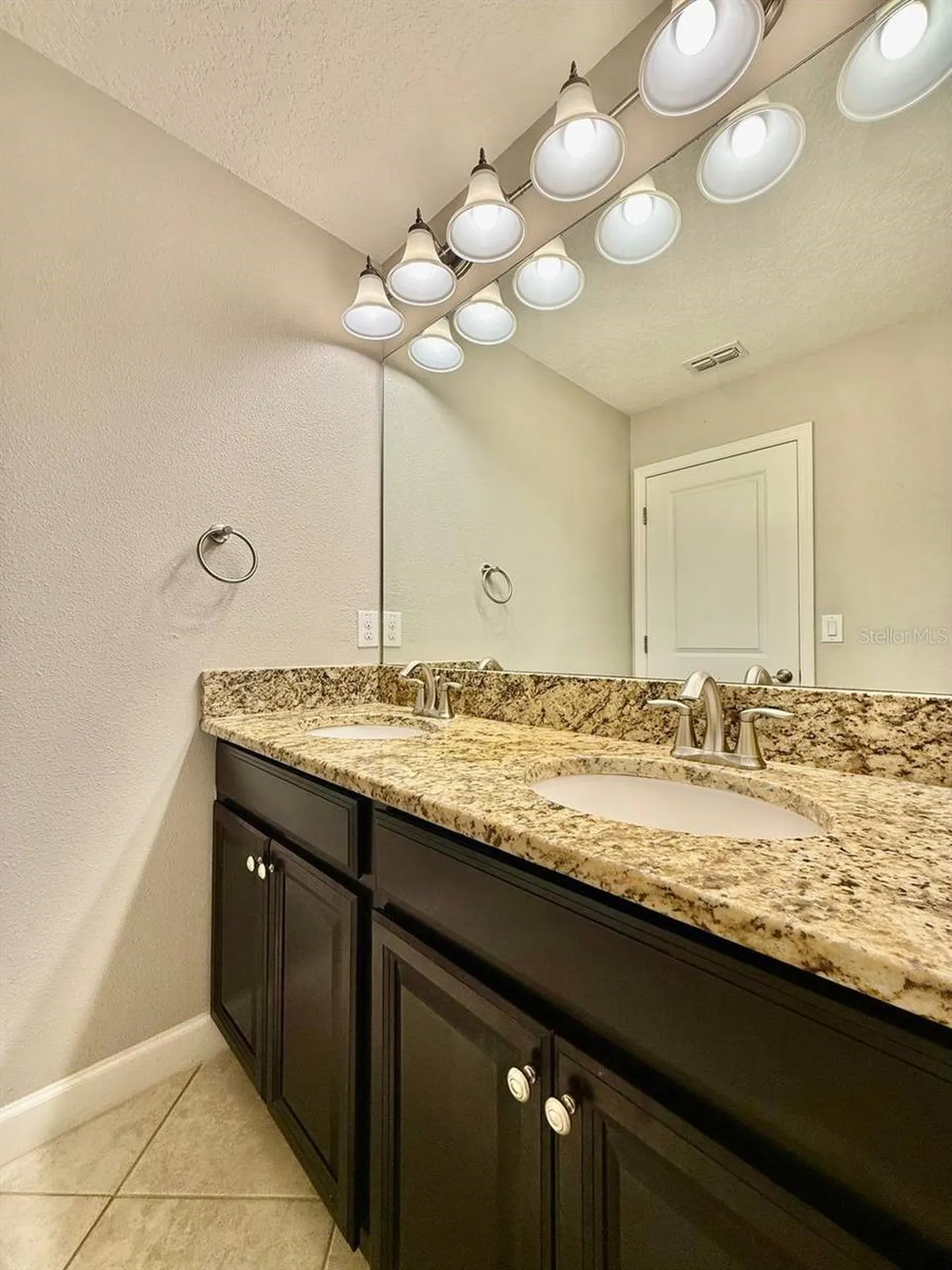 12311 Ballentrae Forest Drive Riverview FL 33579