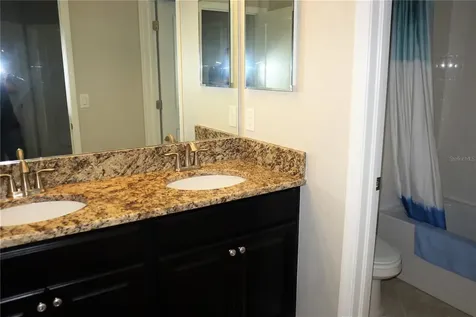 12311 Ballentrae Forest Drive Riverview FL 33579