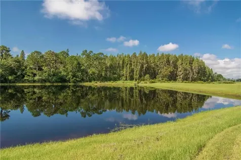 12311 Ballentrae Forest Drive Riverview FL 33579