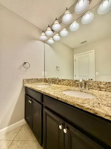 12311 Ballentrae Forest Drive Riverview FL 33579