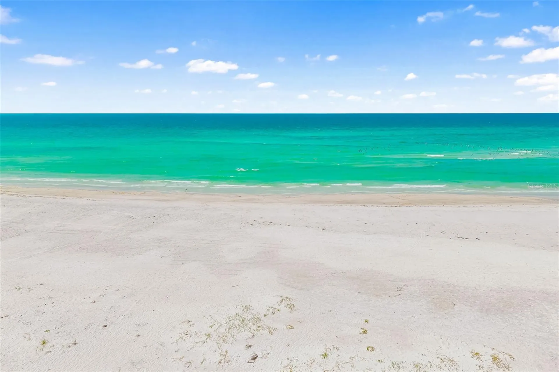 763 John Ringling Boulevard Sarasota FL 34236