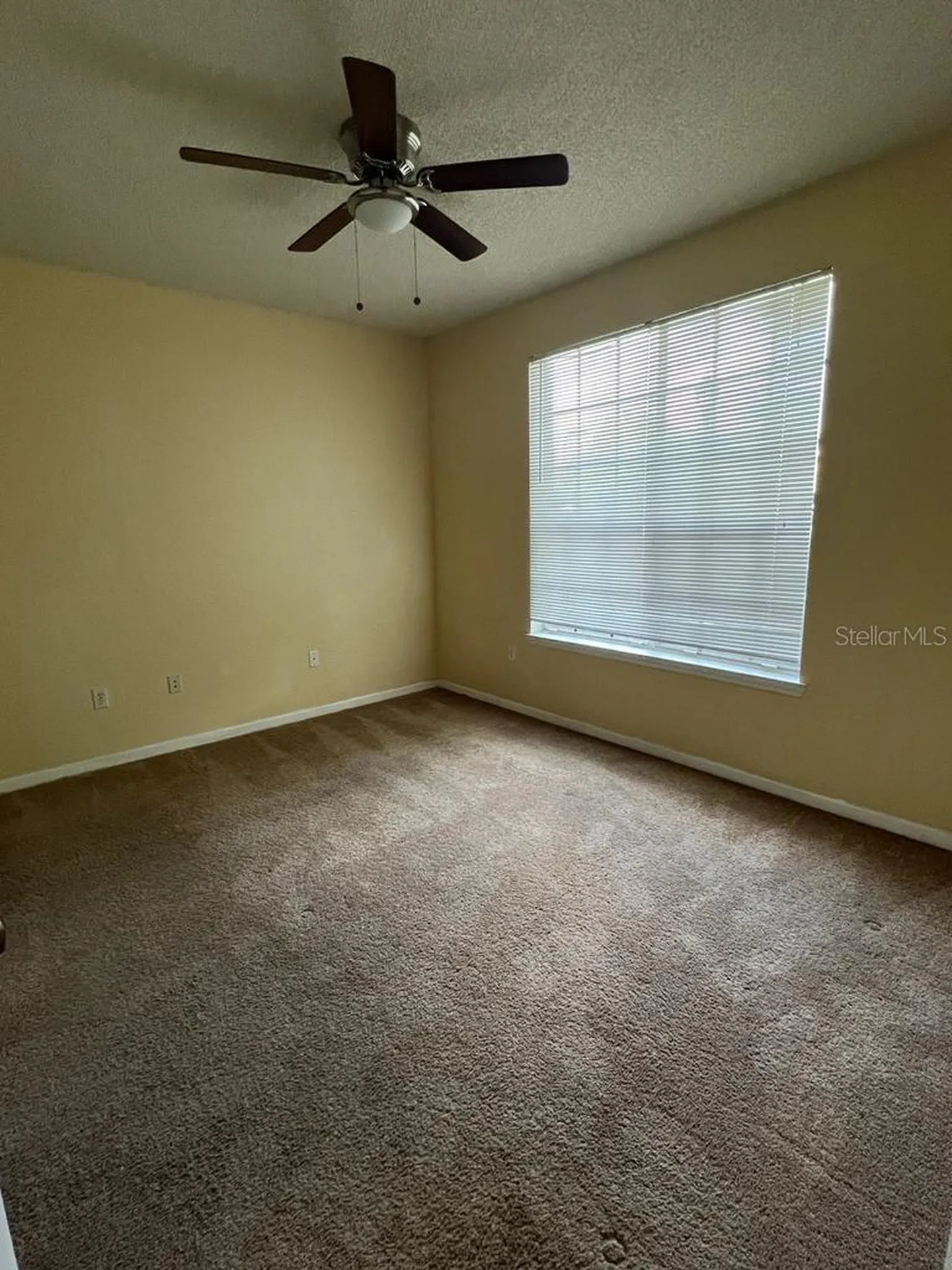 13025 Mulberry Park Drive Orlando FL 32821