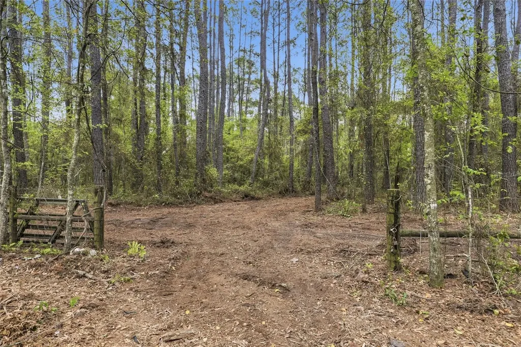 NW County Road 231 Gainesville FL 32609