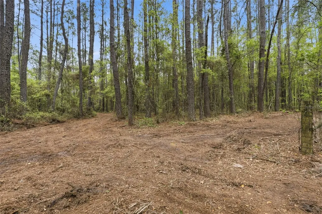 NW County Road 231 Gainesville FL 32609