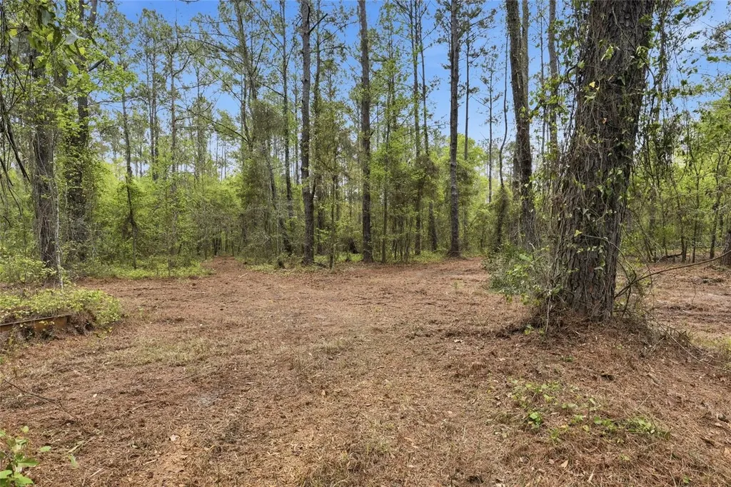 NW County Road 231 Gainesville FL 32609