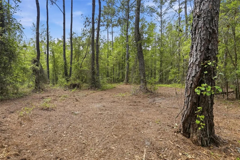 NW County Road 231 Gainesville FL 32609
