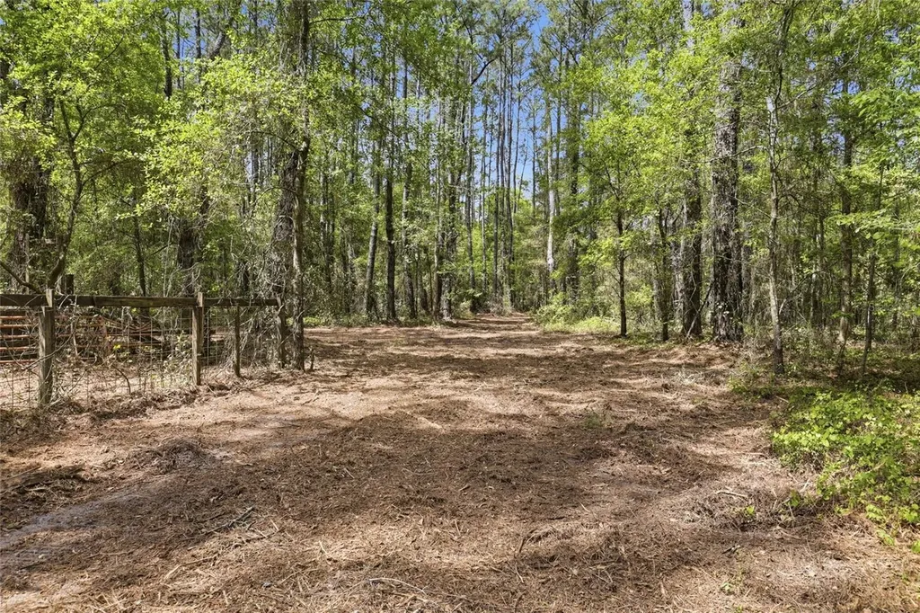 NW County Road 231 Gainesville FL 32609