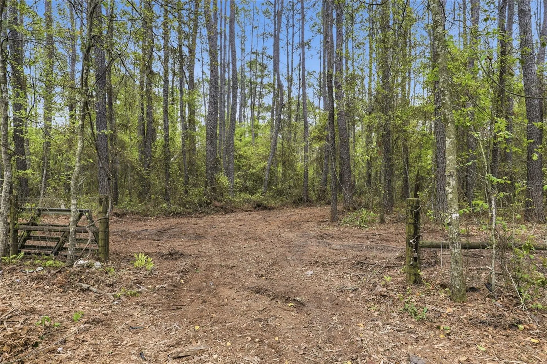 NW County Road 231 Gainesville FL 32609