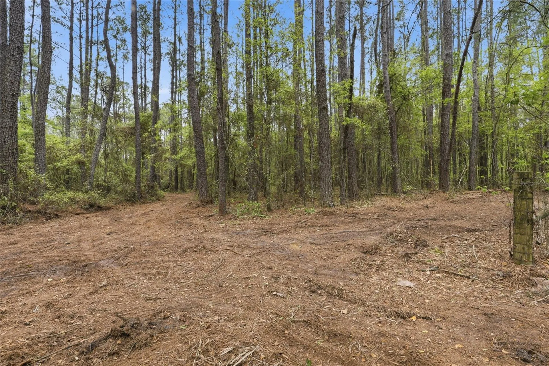 NW County Road 231 Gainesville FL 32609