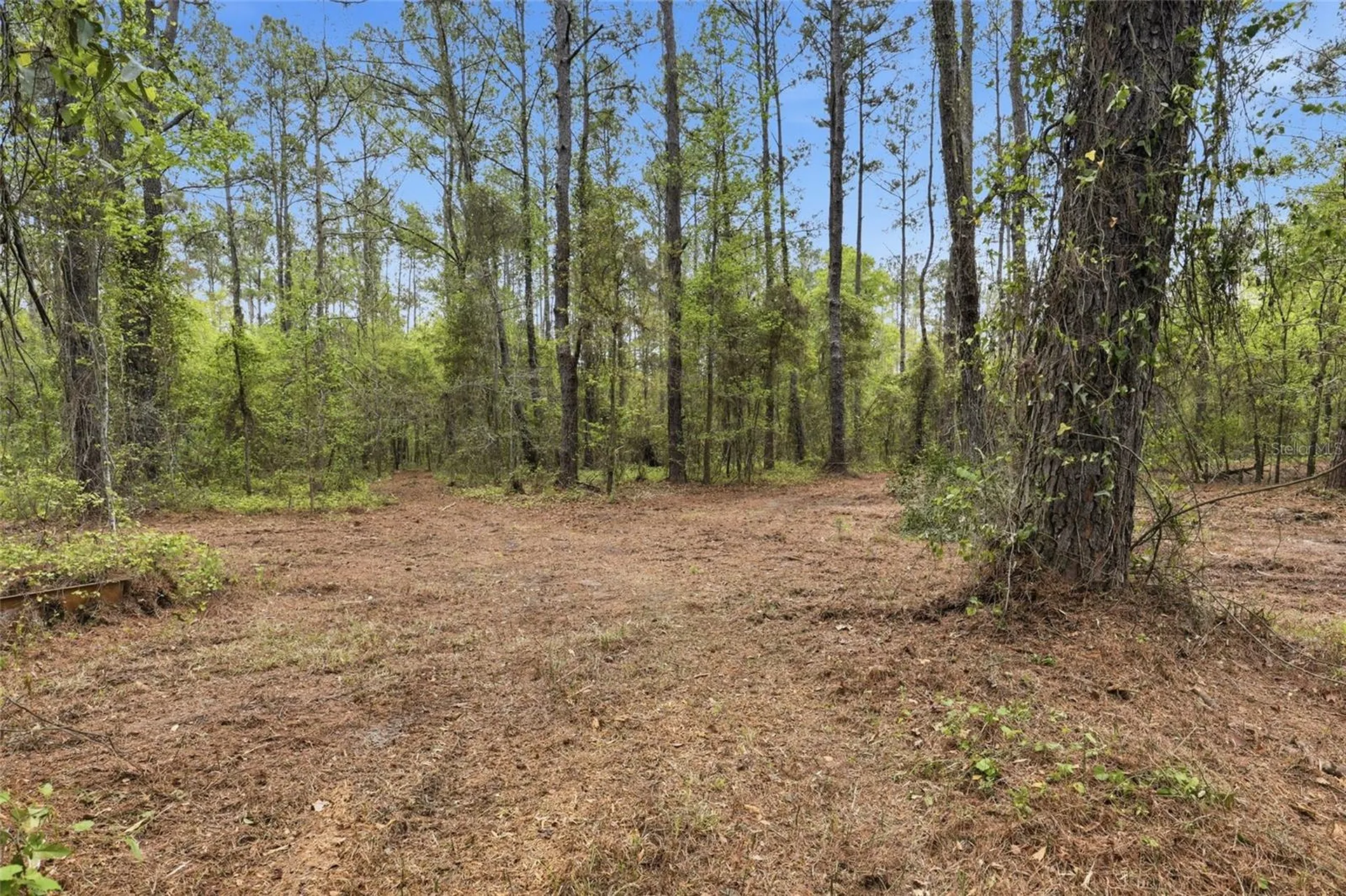 NW County Road 231 Gainesville FL 32609