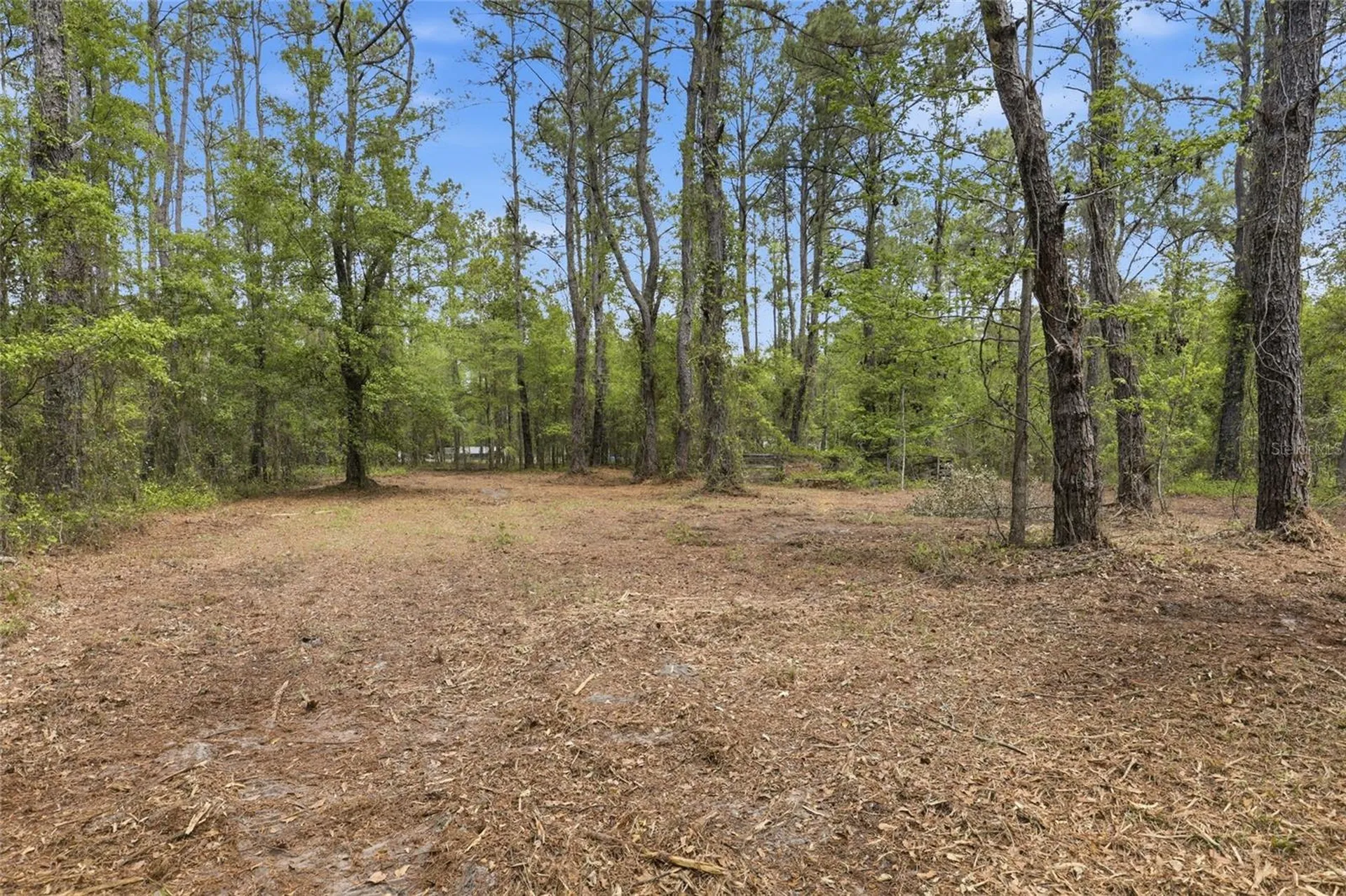 NW County Road 231 Gainesville FL 32609