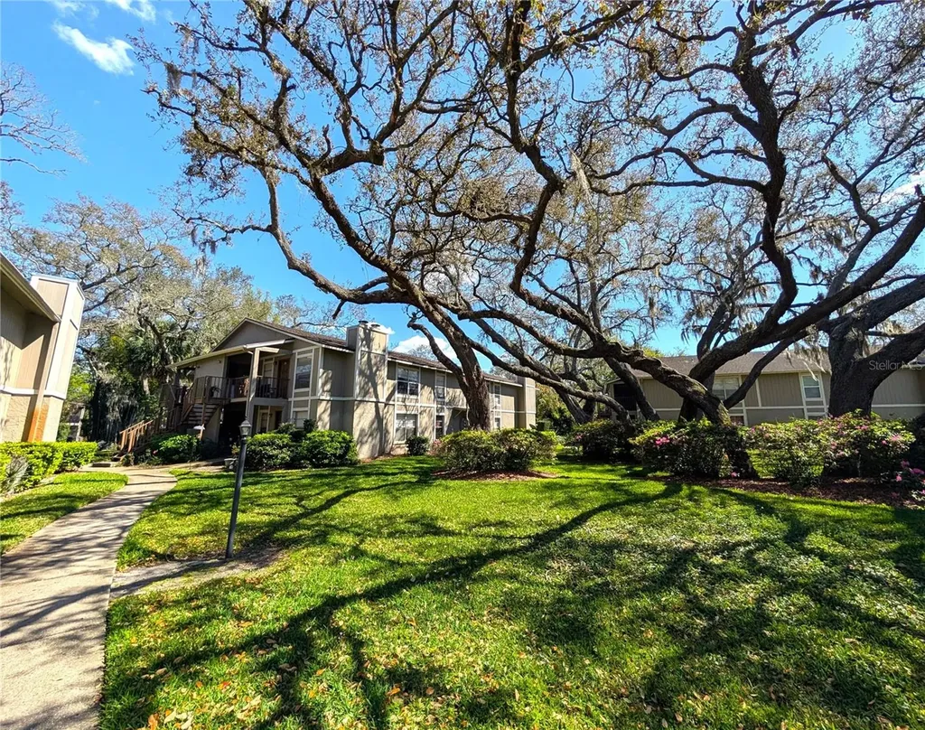 14211 Shadow Moss Lane Tampa FL 33613