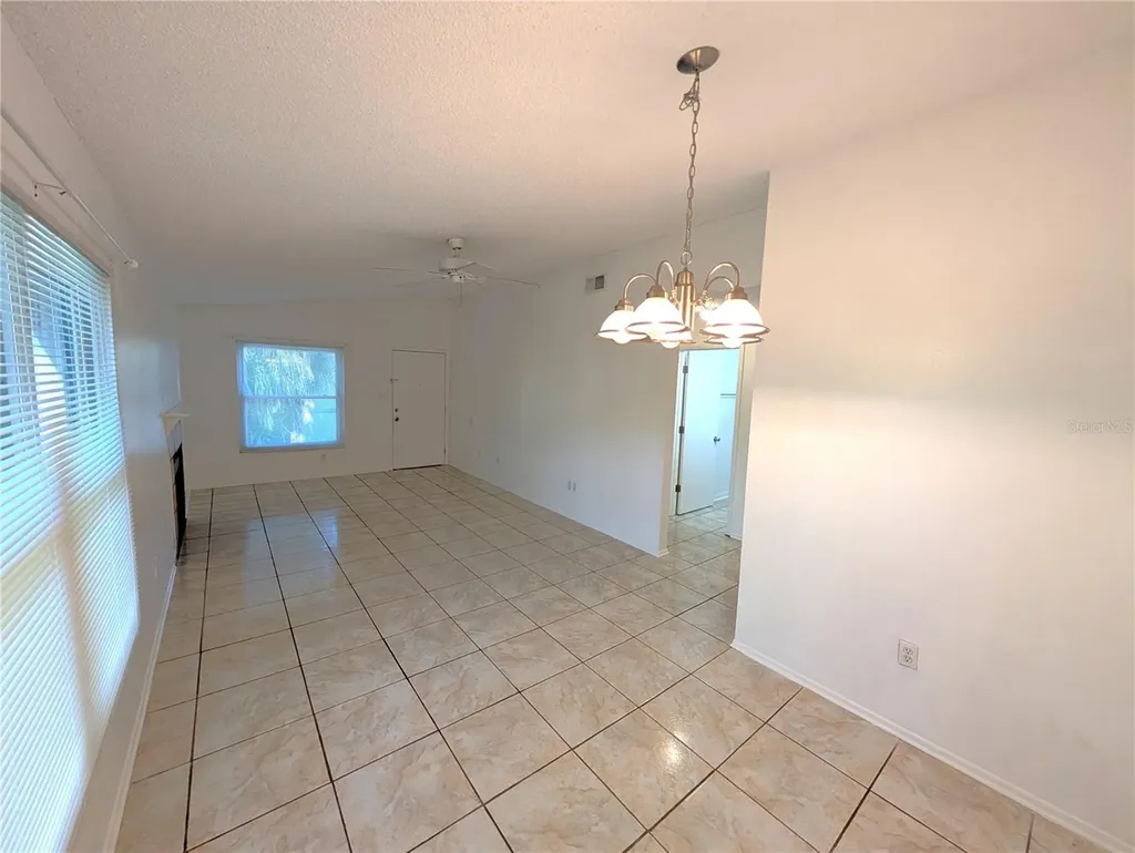 14211 Shadow Moss Lane Tampa FL 33613