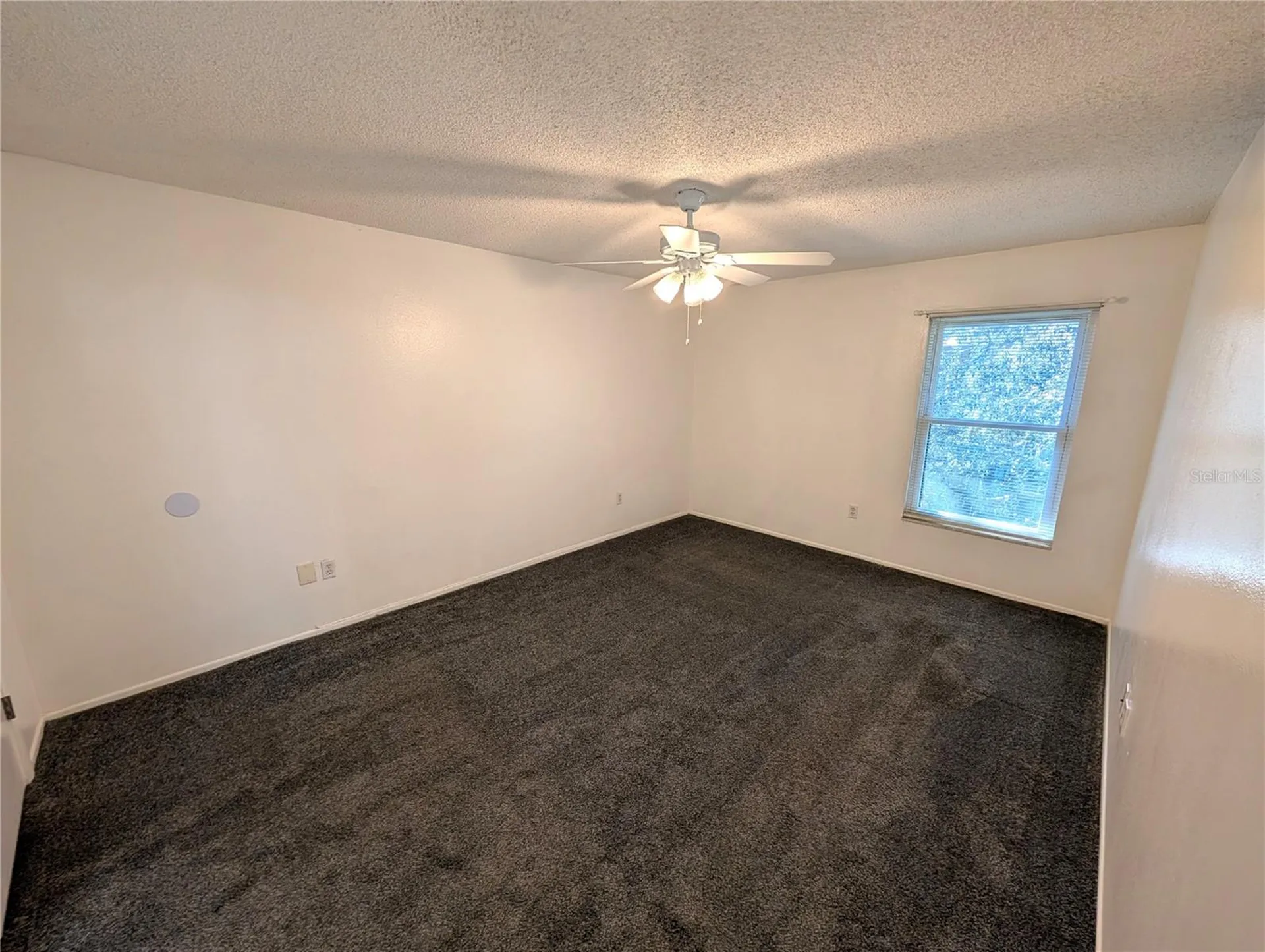 14211 Shadow Moss Lane Tampa FL 33613