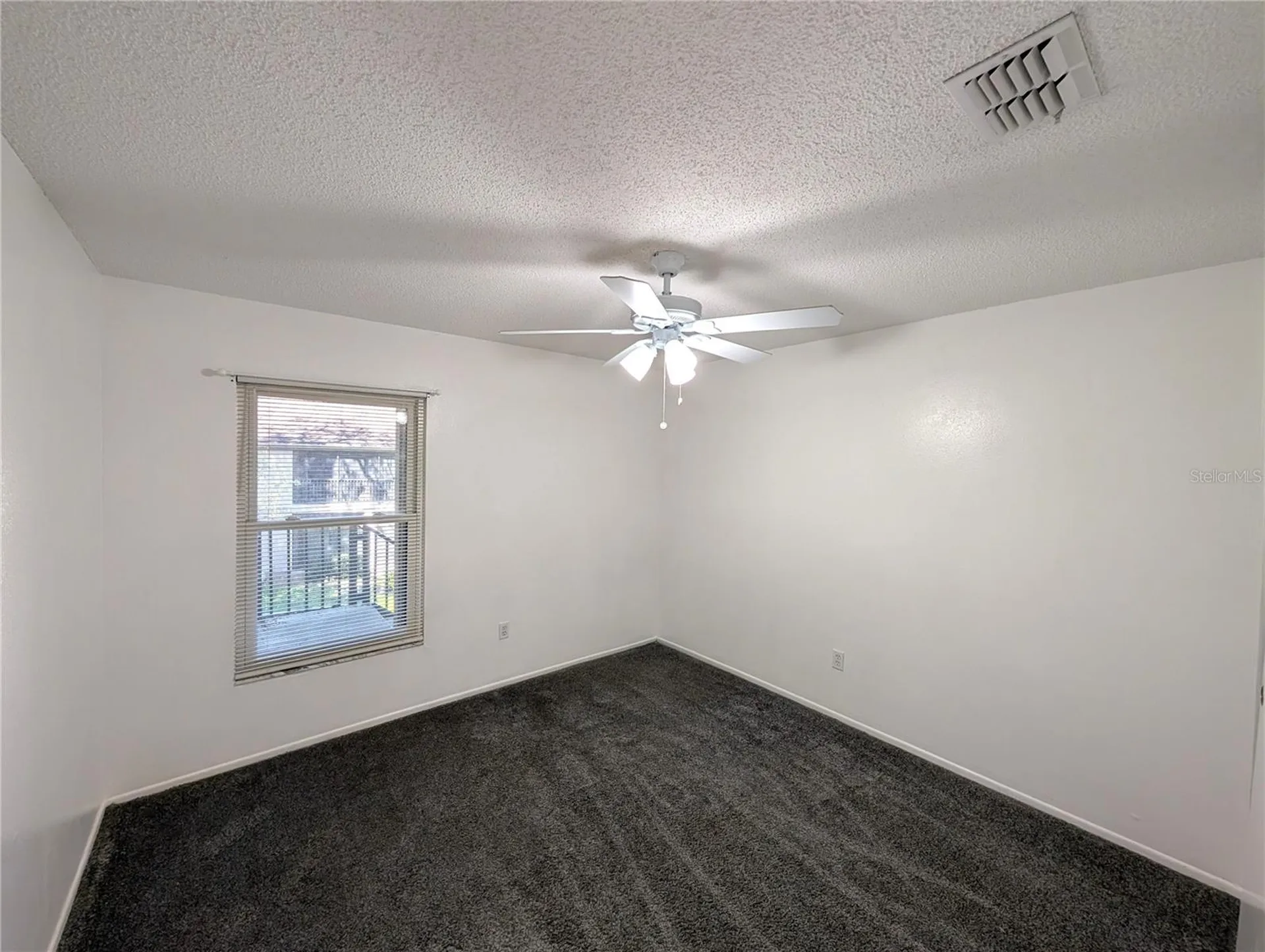 14211 Shadow Moss Lane Tampa FL 33613