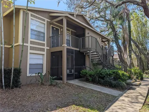 14211 Shadow Moss Lane Tampa FL 33613