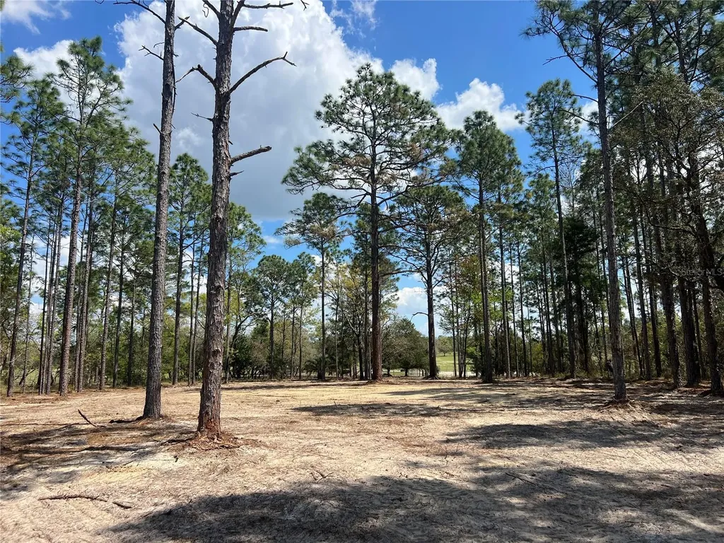 16 SE 136 Terrace Dunnellon FL 34431