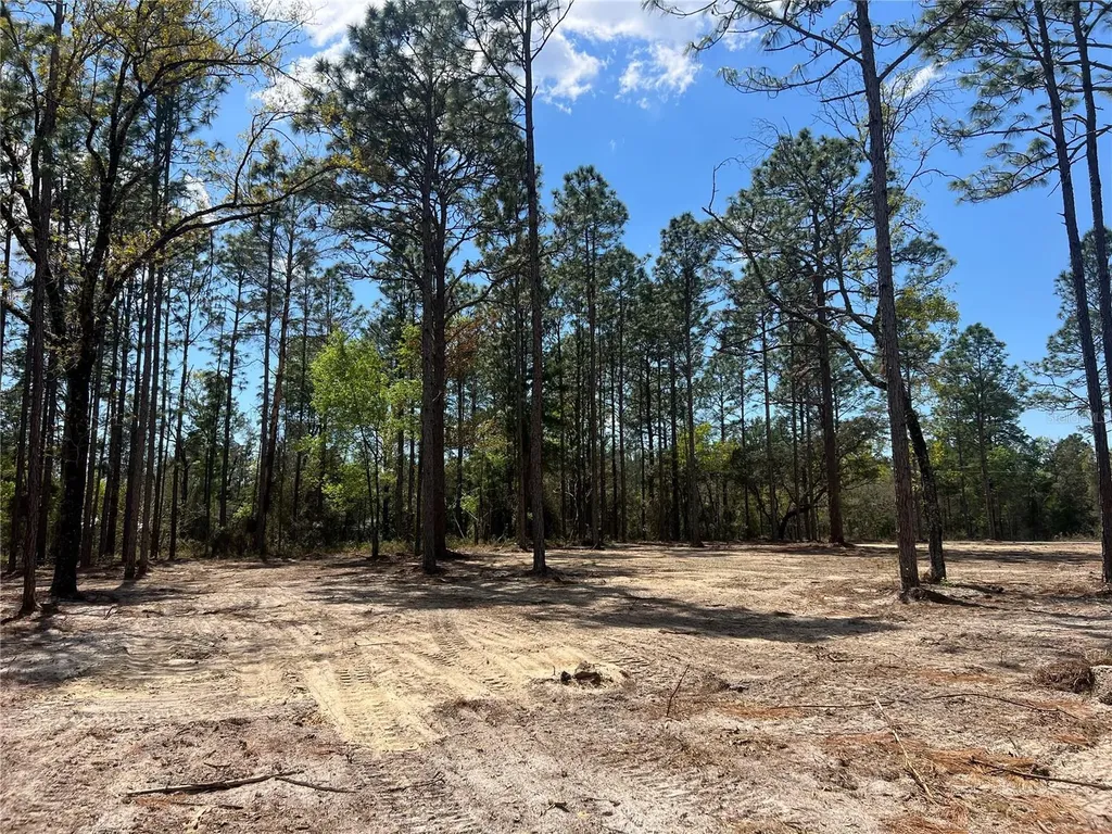 16 SE 136 Terrace Dunnellon FL 34431