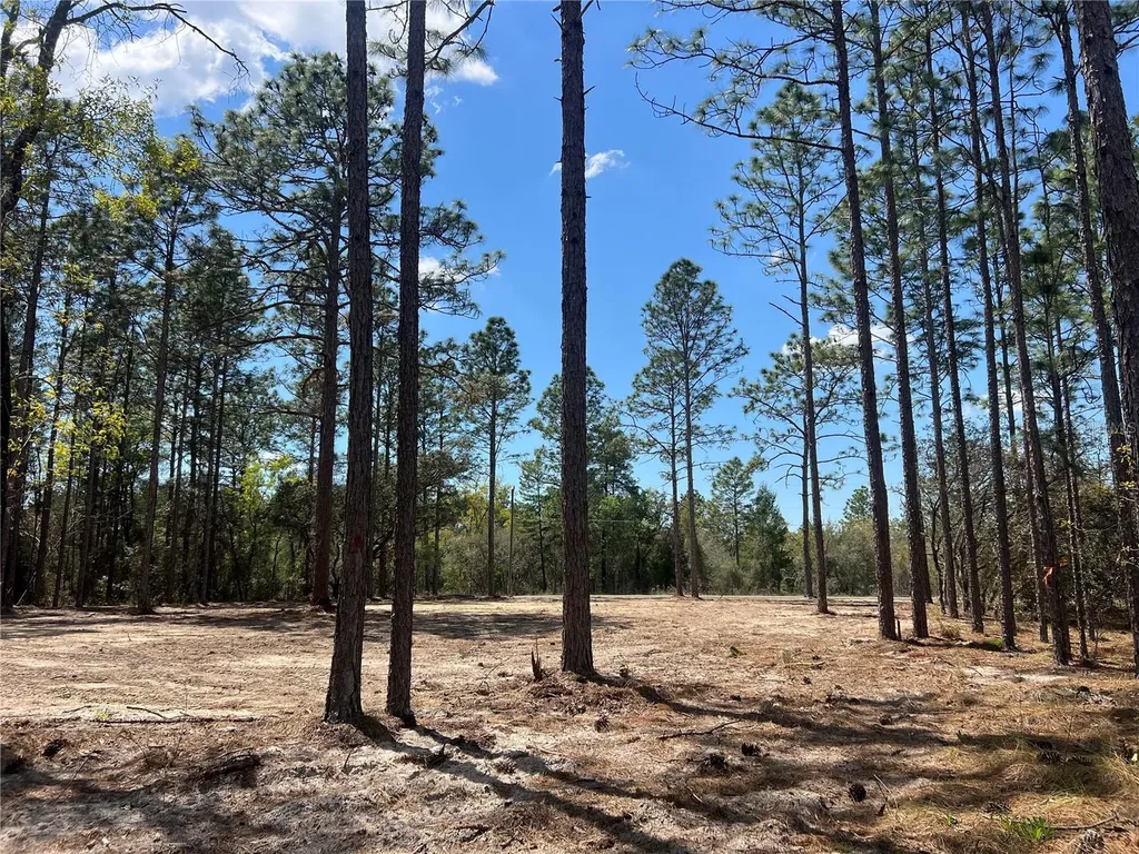 16 SE 136 Terrace Dunnellon FL 34431