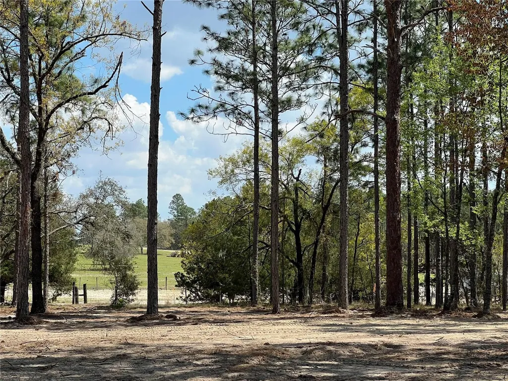 16 SE 136 Terrace Dunnellon FL 34431