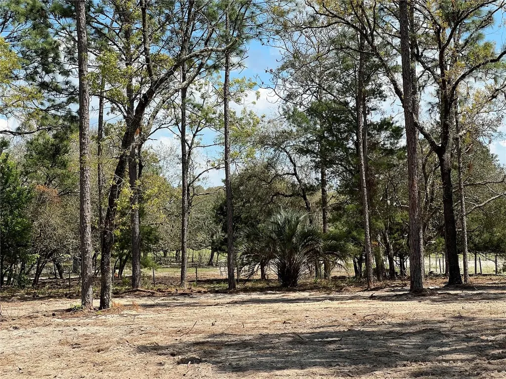 16 SE 136 Terrace Dunnellon FL 34431