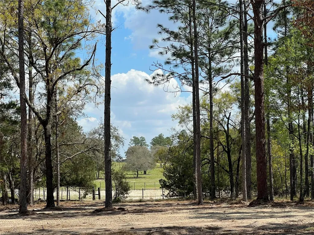 16 SE 136 Terrace Dunnellon FL 34431