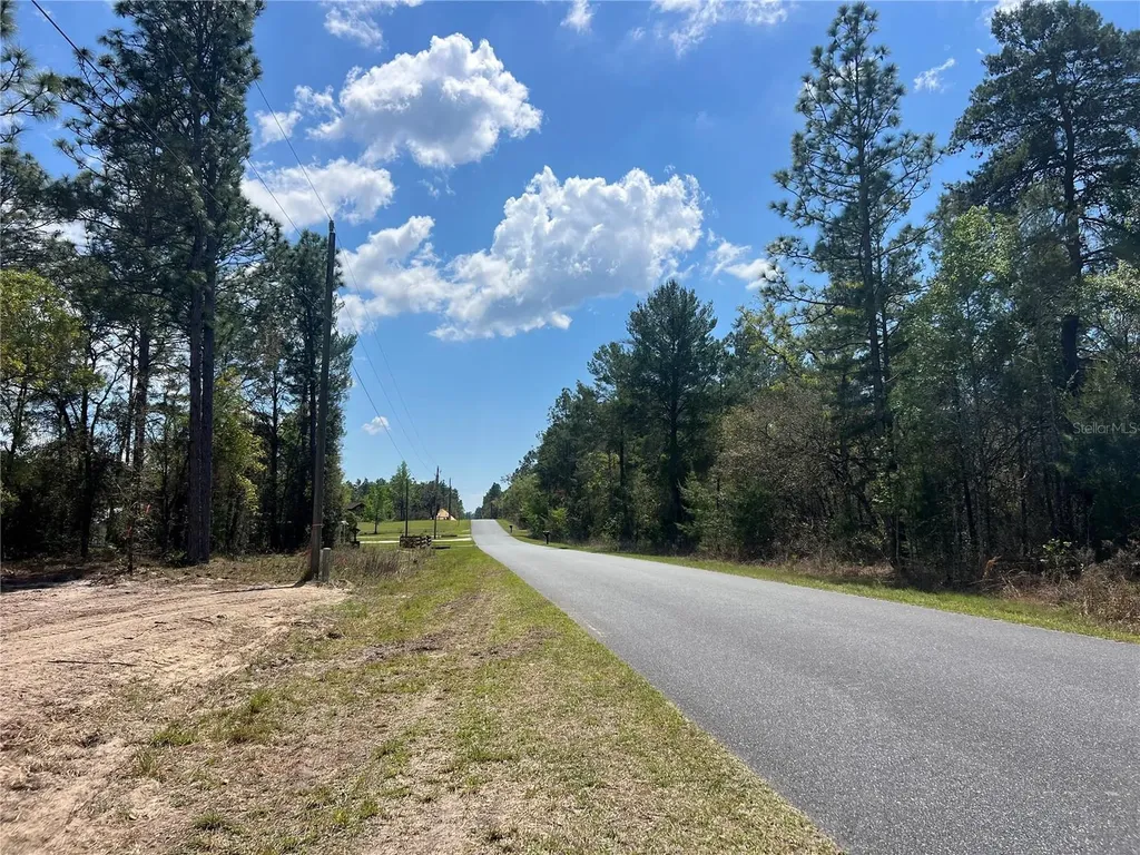 16 SE 136 Terrace Dunnellon FL 34431