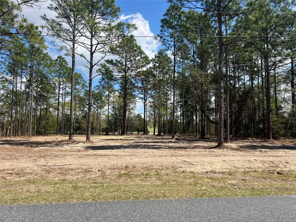 16 SE 136 Terrace Dunnellon FL 34431