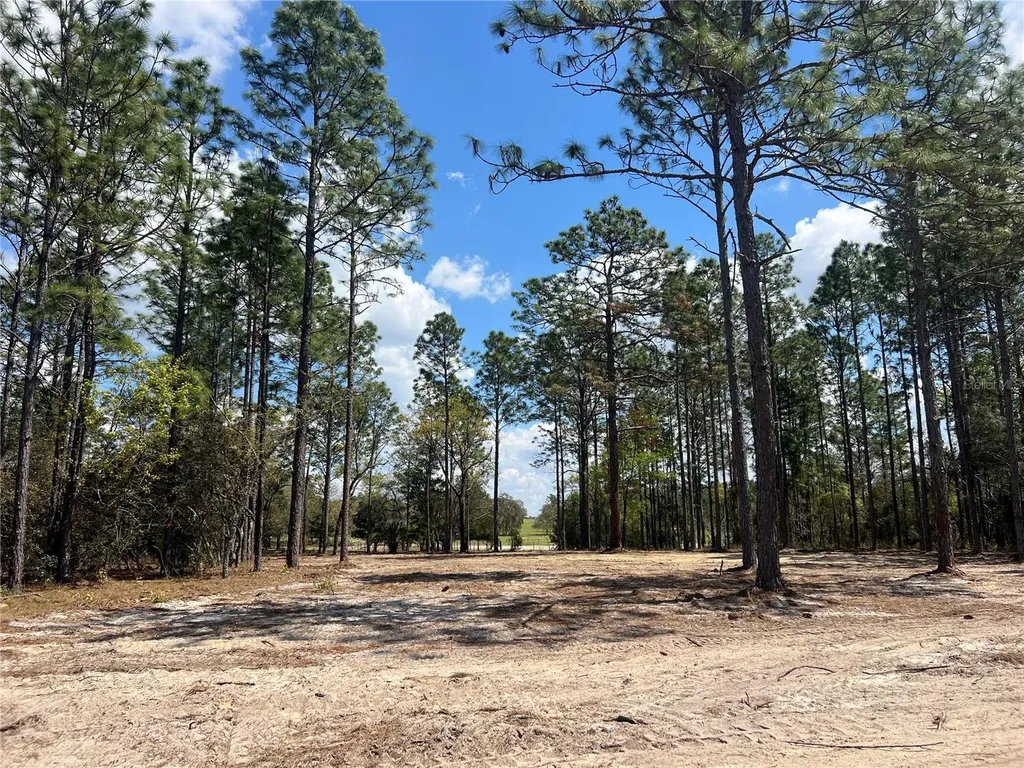 16 SE 136 Terrace Dunnellon FL 34431