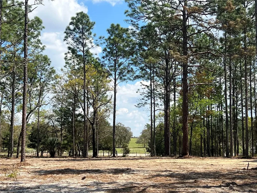 16 SE 136 Terrace Dunnellon FL 34431