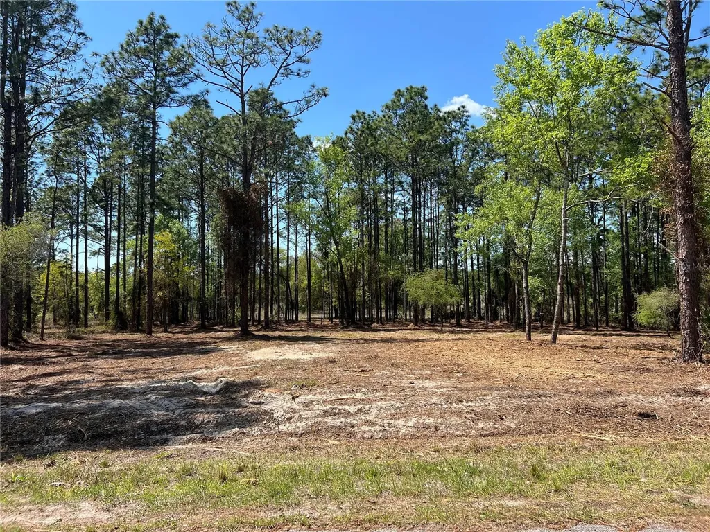 16 SE 136 Terrace Dunnellon FL 34431