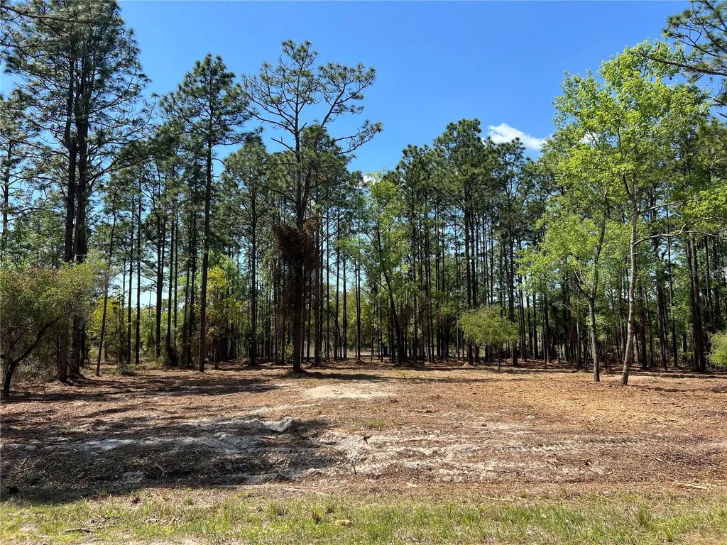 16 SE 136 Terrace Dunnellon FL 34431