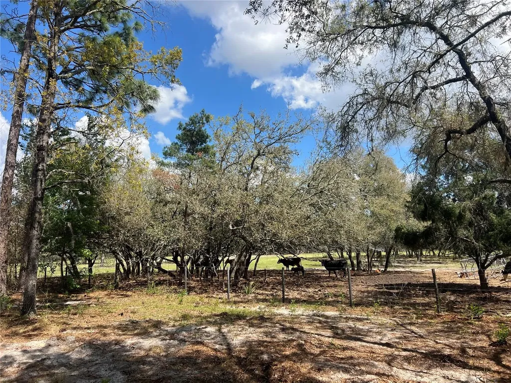 16 SE 136 Terrace Dunnellon FL 34431